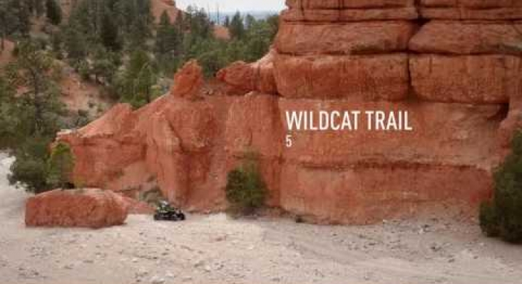2017 Wildcat Sport and Trial SXS Experience