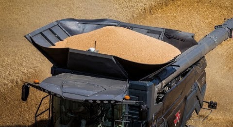 IDEAL from MF - Superior Straw and Grain Quality