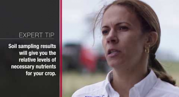 A Cut Above the Rest Video Series – Ep. 2: Measuring Crop Health