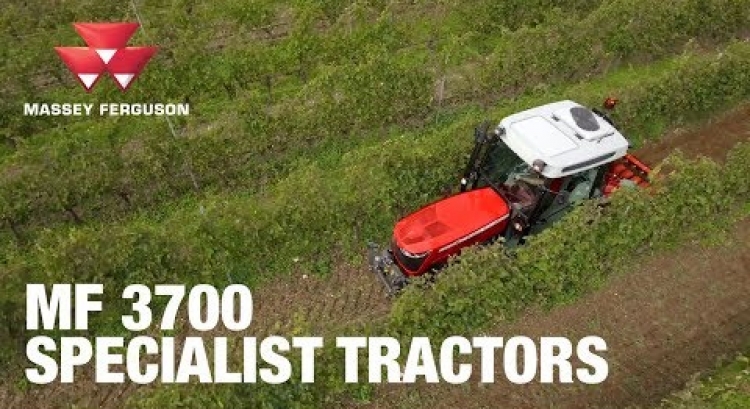 MF 3700 Series – the new generation of vineyard, specialist & fruit tractor