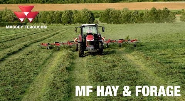 MF Hay & Forage