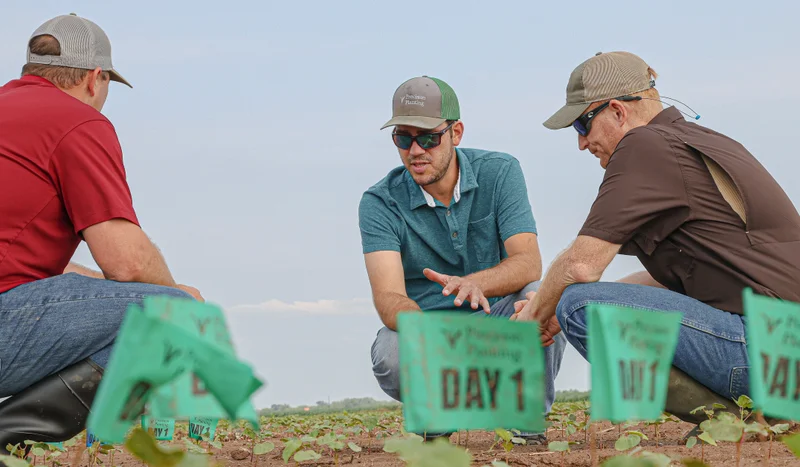 Farmers discussing in a field